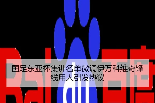 国足东亚杯集训名单微调伊万科维奇锋线用人引发热议