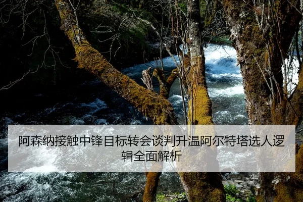 阿森纳接触中锋目标转会谈判升温阿尔特塔选人逻辑全面解析